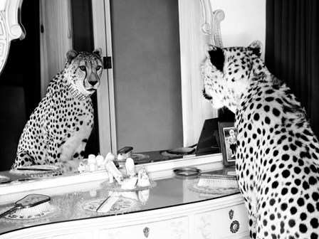 Cheetah Looking in Mirror by Emma Rian art print