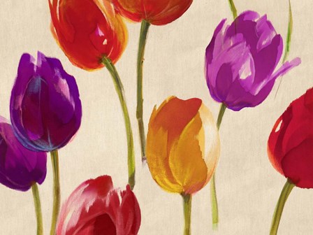 Tulip Funk by Luca Villa art print