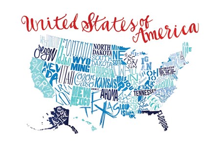 Fun United States by Jace Grey art print