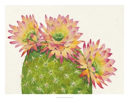 Desert Blossoms I by Timothy O&#39;Toole art print