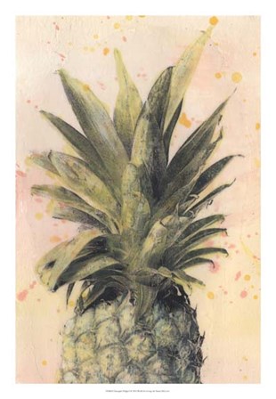 Pineapple Delight I by Naomi McCavitt art print