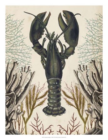Antiquarian Menagerie - Lobster by Naomi McCavitt art print
