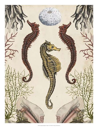 Antiquarian Menagerie - Seahorse by Naomi McCavitt art print