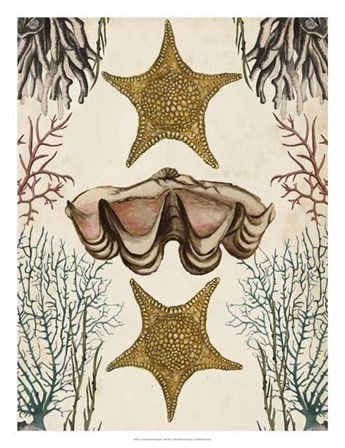 Antiquarian Menagerie - Starfish by Naomi McCavitt art print