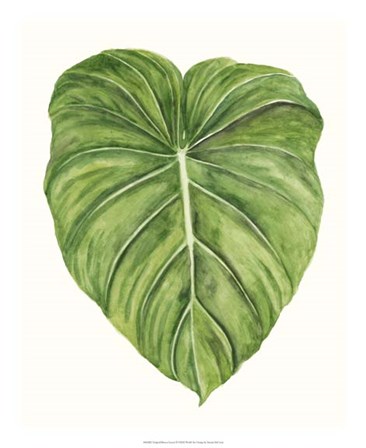 Tropical Breeze Leaves II by Naomi McCavitt art print