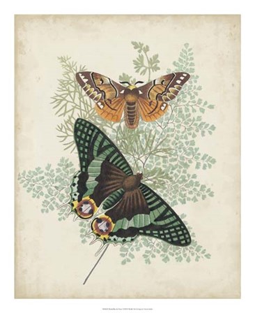 Butterflies &amp; Ferns I by Vision Studio art print