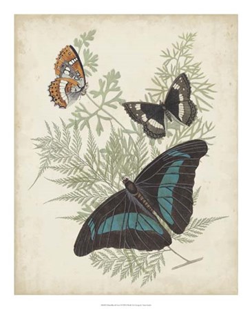 Butterflies &amp; Ferns II by Vision Studio art print