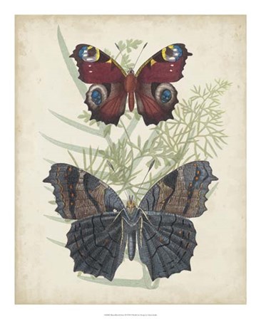 Butterflies &amp; Ferns III by Vision Studio art print
