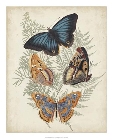Butterflies &amp; Ferns V by Vision Studio art print