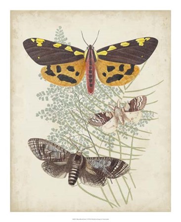 Butterflies &amp; Ferns VI by Vision Studio art print