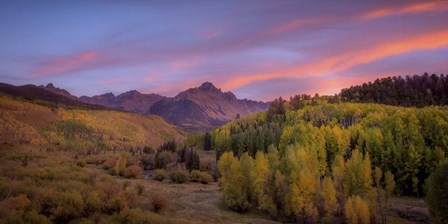 Foliage Sunset by Dan Ballard art print