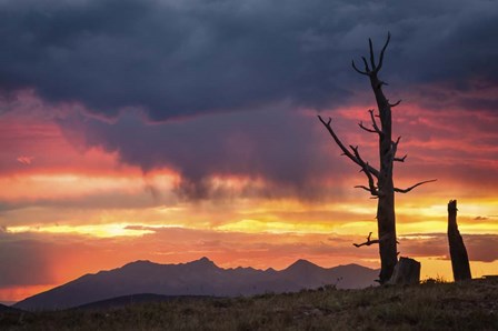 Mountain Sunset 02 by Dan Ballard art print