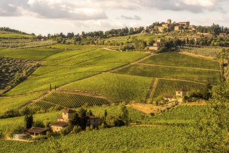 Green Hills by Dan Ballard art print