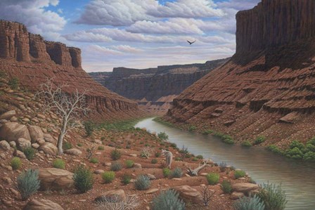 Along The Colorado by Robert Wavra art print