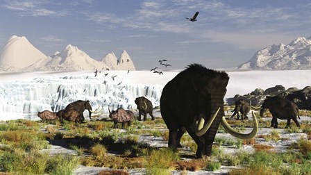 Woolly Mammoths and Woolly Rhinos in a Prehistoric Landscape by Arthur Dorety/Stocktrek Images art print