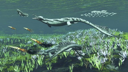 Cymbospondylus, A Very Large And Early Triassic Ichthyosaur by Arthur Dorety/Stocktrek Images art print
