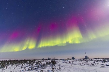 Aurora borealis, Manitoba, Canada by Alan Dyer/Stocktrek Images art print