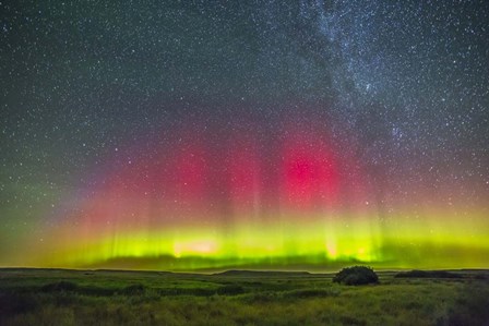 Aurora borealis above Grasslands National Park in Saskatchewan, Canada by Alan Dyer/Stocktrek Images art print