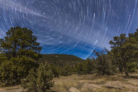 Circumpolar star trails over the Gila National Forest in southern New Mexico by Alan Dyer/Stocktrek Images art print
