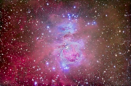The Orion Nebula Region by Alan Dyer/Stocktrek Images art print