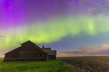 Purple Aurora over an old barn, Alberta, Canada by Alan Dyer/Stocktrek Images art print