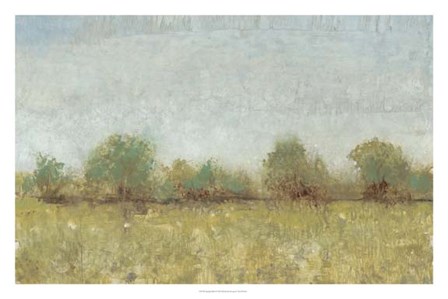 Spring Field I by Timothy O&#39;Toole art print