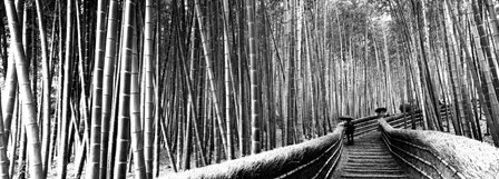 Stepped walkway passing through a bamboo forest, Arashiyama, Kyoto, Japan by Panoramic Images art print