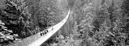 Capilano Bridge, Suspended Walk, Vancouver, British Columbia, Canada BW by Panoramic Images art print