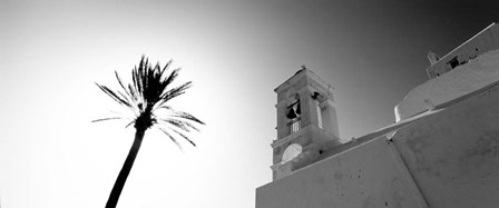 Low angle view of a palm tree near a church , Ios, Greece by Panoramic Images art print