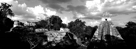 Ruins Of An Old Temple, Tikal, Guatemala BW by Panoramic Images art print
