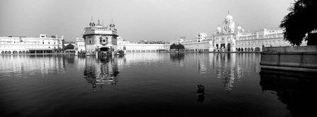 Temple at the waterfront, Golden Temple, Amritsar, Punjab, India by Panoramic Images art print