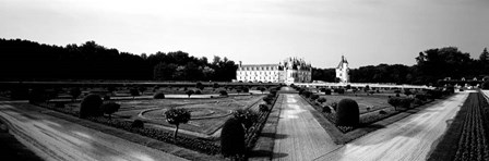 Formal garden in front of a castle, Chateau De Chenonceaux, Loire Valley, France by Panoramic Images art print