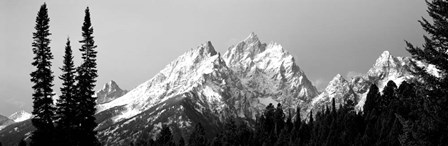 Cathedral Group Grand Teton National Park WY by Panoramic Images art print