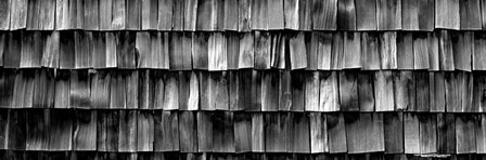 Close-up of wooden shingle, La Conner, Washington State by Panoramic Images art print