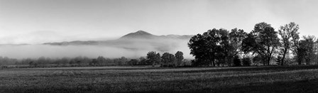 Fog over mountain, Cades Cove, Great Smoky Mountains National Park, Tennessee by Panoramic Images art print