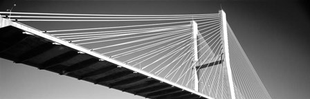 Talmadge Memorial Bridge, Savannah, Georgia by Panoramic Images art print