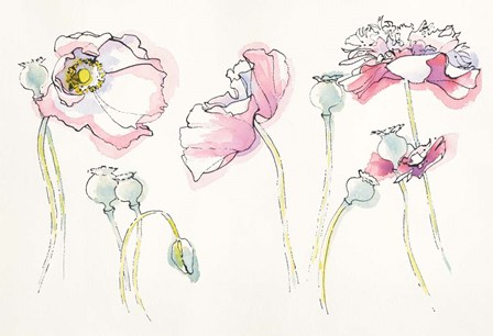 Pink Somniferums by Shirley Novak art print