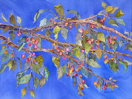 Crab Apple III by Sharon Pitts art print