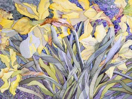 Daffodils, Van Vleck by Sharon Pitts art print