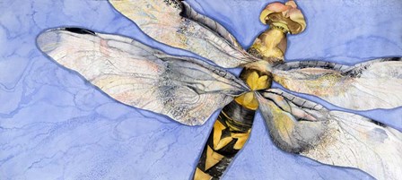 Dragonfly by Sharon Pitts art print