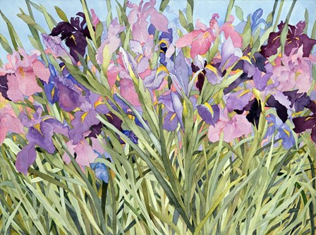 Iris Garden X by Sharon Pitts art print