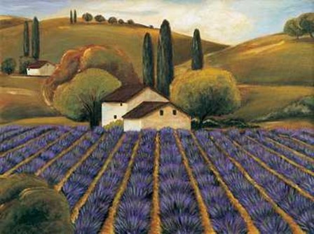 Field of Lavender I by Michael Cooper art print