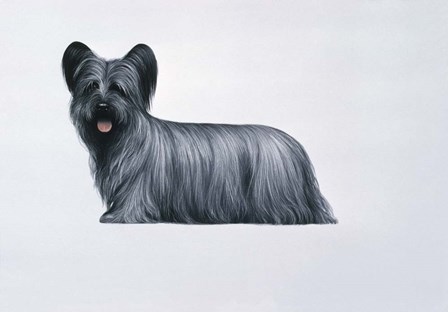 Sky Terrier by Harro Maass art print