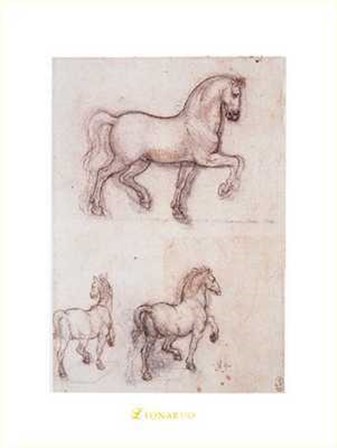 Studi Per un Monumento Equestre by Leonardo Da Vinci art print