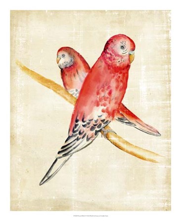 Fanciful Birds I by Chariklia Zarris art print