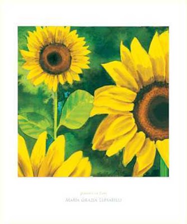 Girasoli in Fiore by Maria Grazia Luffarelli art print