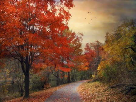 Autumn Maples by Jessica Jenney art print
