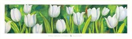 Tulipani Bianchi by Maria Grazia Luffarelli art print