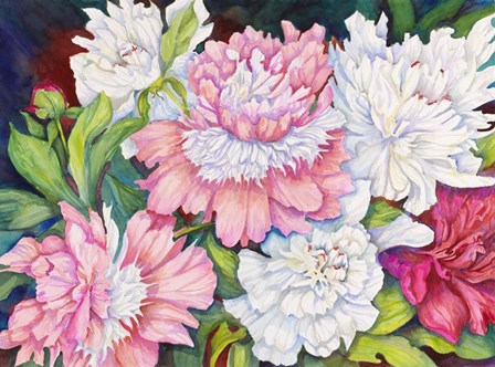 A Peony Cluster by Joanne Porter art print