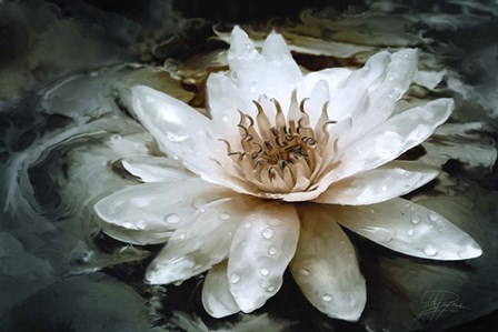 Lily Light by Joel Christopher Payne art print